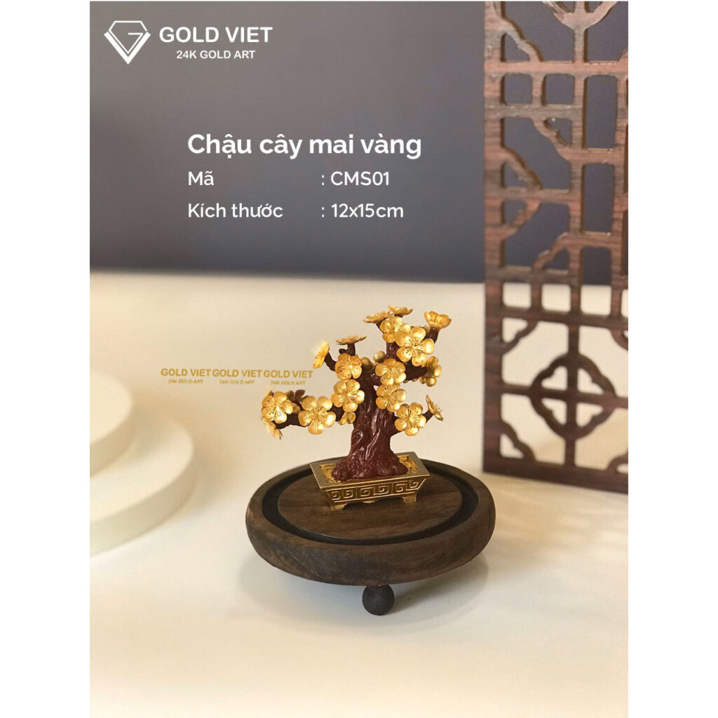 Chậu cây mai vàng