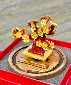 Chậu Cây Mai Vàng - quà tặng đẹp và sang trọng