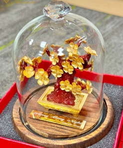 Chậu cây mai vàng