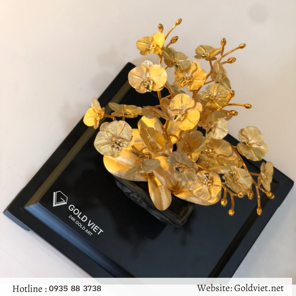 Chậu lan  - quà tặng thầy cô 20/11