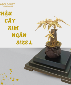 Chậu cây kim ngân size L